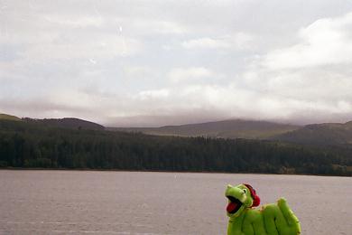 Nessie